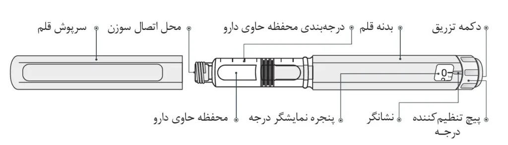 اجزای قلم اسپارتینا